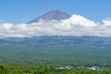 Fototapeta premium 静岡県富士宮市白糸自然公園からの富士山