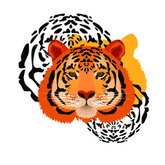 Zodiac 2022 beautiful tiger year of the tiger. Depicted cartoon tiger vector graphics.