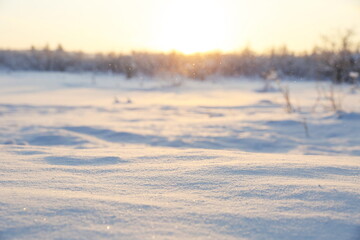 snow close up on the background of trees on a sunny winter day 