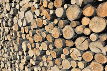 pile of  firewood stacked  and forming a bottom