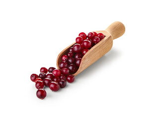 Scoop with ripe cranberries on white background