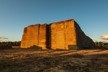 Fields with stacked straw bales in warm light at sunset