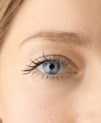 Close-up shot of woman eye with beautiful makeup looking at camera