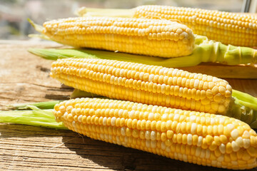 Fresh corn on cobs on wooden table, closeup