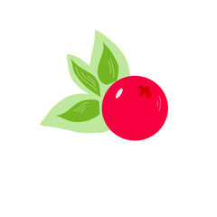 vector cranberry berries in flat and cartoon style illustration on white background, simple berry illustration