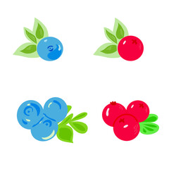 vector berries set cranberries and blueberries in flat graphics on a white background, blueberry graphic illustration and cranberry berry illustration