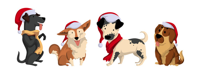 Set of Dogs Wear Santa Hats
