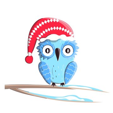 Christmas winter owl in santa hat sitting on branch. Vector holiday card and print