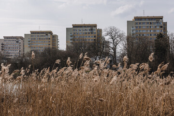 Apartment buildings on the shore of Czerniakowskie Lake in Mokotow district of Warsaw, capital of...