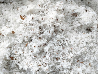 Coconut meal texture.
