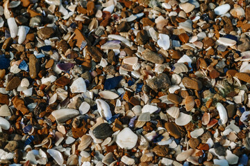 
Sea ​​pebbles