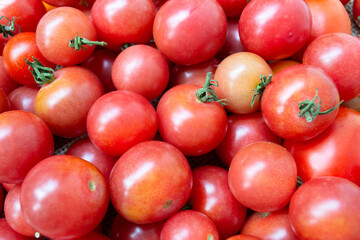 Garden cherry tomatoes close-up. A scattering of tomatoes with blurred focus