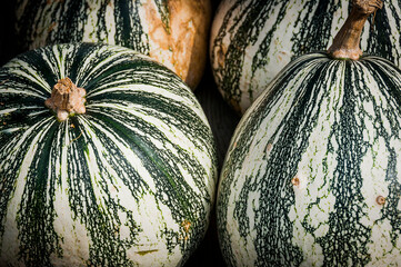Kürbis, Pepita, Cucurbita argyrosperma, Speisekürbis, Rohkost, Kürbisernte, Kürbismarkt,...