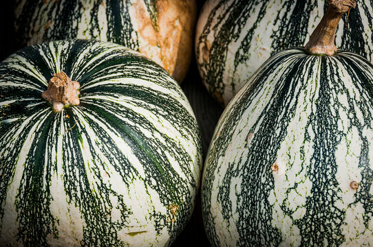 K&uuml;rbis, Pepita, Cucurbita argyrosperma, Speisek&uuml;rbis, Rohkost, K&uuml;rbisernte, K&uuml;rbismarkt, K&uuml;rbisfest, Herbst, Schweiz