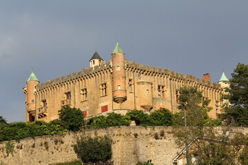 Fototapeta na wymiar Beaujolais, château de Montmelas, vigne, vignoble, château de princesse, pierre dorée, lumière, 