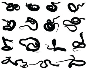 Black silhouette of snakes on a white background