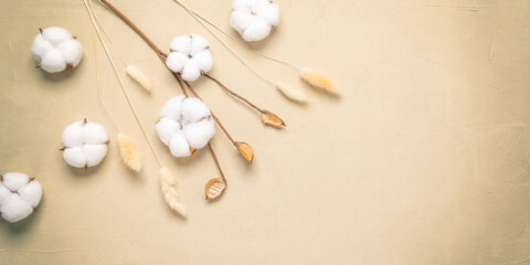 Autumn floral composition. Cotton flowers and dry grass lagurus on a beige plaster background. Top view, flat lay. Banner.