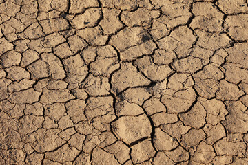 Cracks of the dried soil in arid season