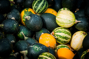Zierkürbis, Kürbis, Dekoration, Herbstdekoration, Herbst, Herbstfest, Baselland, Nordwestschweiz, Schweiz