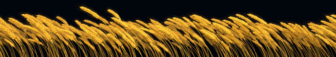 rural harvest, golden rye or wheat line isolated, design nature 3D rendering