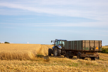 Traktor mit Anhänger bei der Ernste in einem Getreidefeld