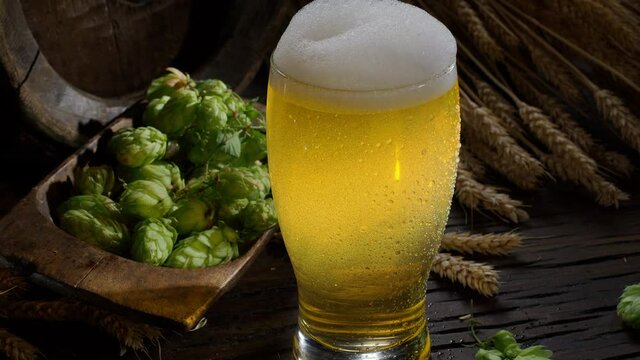 In a glass of craft unfiltered beer, beer bubbles play in the backlight, ripe beer hops, ears of barley and the spirit of a home brewery in the background