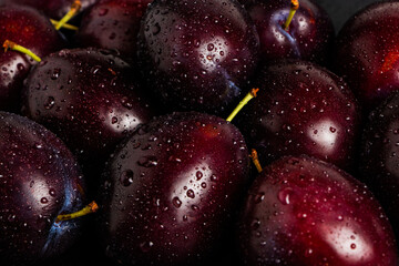 Fresh plums with drops close up. Plums background