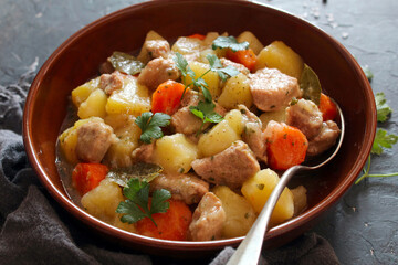 Meat stewed with vegetables in a bowl. Top view with copy space.