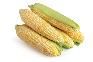 An ear of corn isolated on a white background