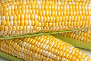 Sweet corn ears background. Close - up photo