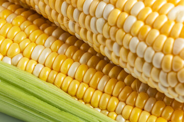 close up of corn