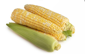 An ear of corn isolated on a white background