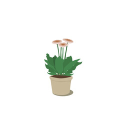 flower in a pot. Vector illustration, flat style.