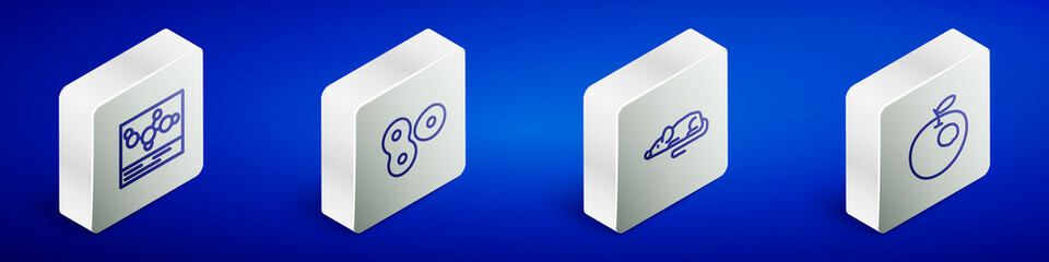 Set Isometric line Chemical formula, Cell division, Experimental mouse and Genetically modified apple icon. Vector
