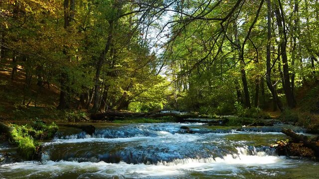 Roztocze szumy na Tanwi 4k