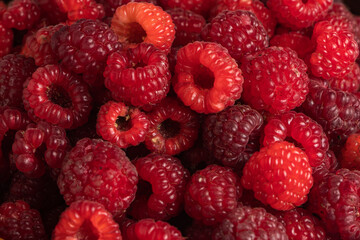 Fresh and sweet raspberries background