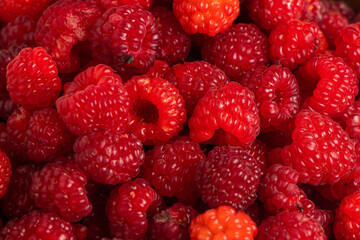 Fresh and sweet raspberries background