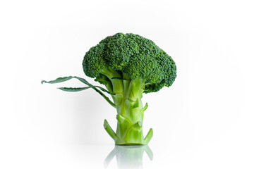 broccoli cabbage close-up on white background