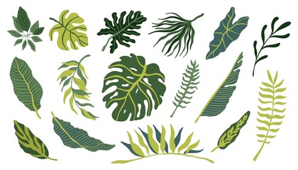 Tropical vector hand drawn leaves collection in trendy colors on white background. Monstera leaves, banana leaves, alocasia set