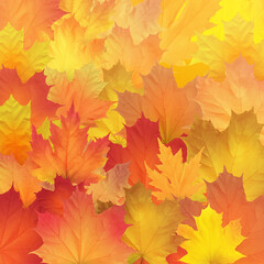 Naklejka na ściany i meble Red, orange, brown and yellow autumn leaves. Vector