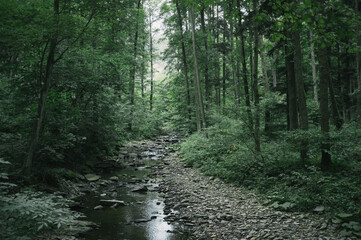 Obraz premium Exploring roads less ridden, little adventures around hometown