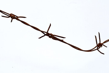 Rusty barb wire isolated on white background