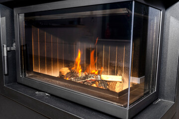 Burning wood in a modern fireplace with a closed combustion chamber standing in the living room,...