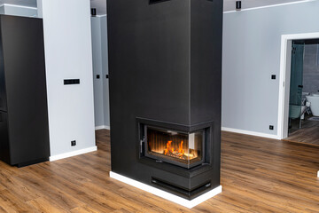 Burning wood in a modern fireplace with a closed combustion chamber standing in the living room, painted black, with a corner pane.