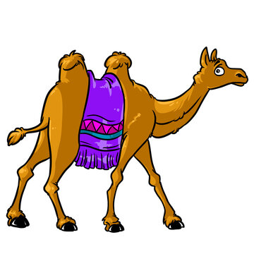 Camel brown animal character cartoon isolated image