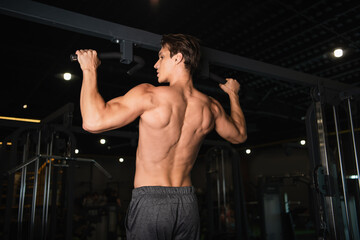 Fototapeta na wymiar back view of shirtless muscular man working out on horizontal bar in gym.