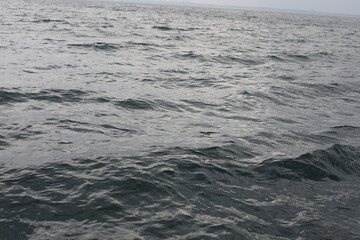 waves on the beach. Waves in the Black Sea.