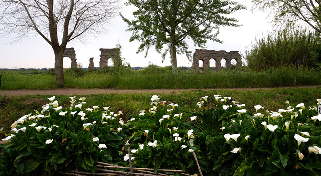 Parco degli acquedotti, Roma