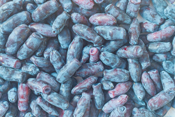 Blue fresh honeysuckle berries are scattered on a white table