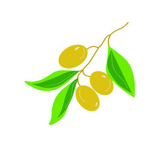 vector olives in flat graphics and cartoon style on a white background. Graphics vegetables and berries for cooking. beautiful green olives with leaves